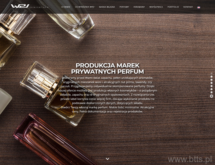 WPJ International