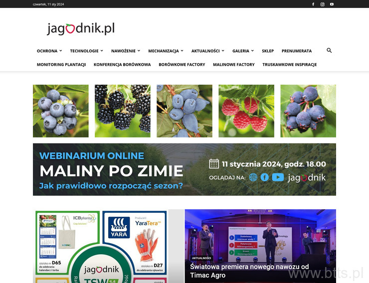 Jagodnik